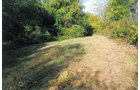 Looking West along North Property Line - REAL ESTATE AUCTION, 5.1 Acre Building Site, Sealed Bid Auction